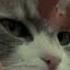 Fairytale Alexander Rybak Sped Up