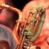 The Budos Band Black Venom Live On KEXP