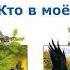 Николай Сладков Кто в моём доме живёт Сказки Сладкова Слушать