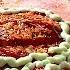 Bangladesh Best Crispy Cheese Pizza And Cheese Burger Street Food In Bangladesh AD Food Network