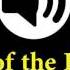 Horror Sound Effect Cry Of The Hawk