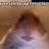 HAMSTER CALLING MEME Shorts Comedy Funny Meme