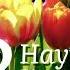 Апамызға 8 Наурызға Құттықтау Өлеңі Апа Туралы Өлең Шумақтары