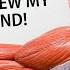 Cardio Vs Weights What Actually Helps You Live Longer