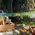 Summer Day Ambience Relaxing Lakeside Picnic On A Beautiful Sunny Day With Calming Nature Sounds