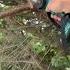 Saker Mini Chainsaw Portable Electric Chainsaw Cordless Handheld Chainsaw Tool For Dad