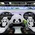 China S Panda Monorail Has Launched