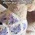 Let S Crochet A Dog Kerchief Together Crochet Grannysquare