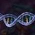 HIV Replication 3D Medical Animation