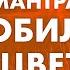 Как привлечь изобилие в свою жизнь Сильная мантра привлекающая богатство и процветание