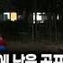 무서운이야기 실화 레전드 너무 무서워서 생방송에서 난리 난 놀이터 숨바꼭질 괴담ㅣ바쿠스님 사연ㅣ돌비공포라디오ㅣ괴담ㅣ미스테리 인터뷰ㅣ시청자 사연ㅣ공포툰ㅣ오싹툰ㅣ공포썰