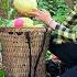 The Girl Was Very Disappointed With The Boy Picking Melons To Sell Ly Tieu Cham