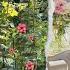 Slow Living Couple S Sunday Routine In England Classic British Berry Tart Recipe