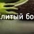 Трек песня про Саню