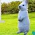 Taking Rabbits To The Vet What Happened Rescuing Angora Rabbit S Kids