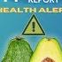 Avocado Cancer Superfood Spotlight Reveals Unexpected Health Alert