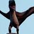 Dno Birds