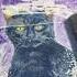Varnishing My Painting Subscribe Like And Comment For More Art Varnish Cat Dragon Fox