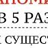 АРТИКЛИ КАК ЗАПОМНИТЬ НАВСЕГДА ПО ВНЕШНЕМУ ВИДУ СЛОВА НЕМЕЦКИЙ ЯЗЫК Правила и секреты тест