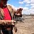 Hammer Bit Me Cowboy Gunfighter Western Rdr2 Saa Shooting Cool Tripleshot Clinteastwood