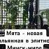Кальянная Мята в элитном Минск мире минск минскмир мята кальянная обзор беларусь