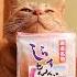 大福みたいなホイップあんぱん 国産和栗 のせ麦茶 230926 Cat のせ猫 かご猫