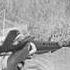 Creedence Clearwater Revival Fortunate Son STUDIO VERSION