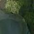 Lourdes Le Sanctuaire Notre Dame De Lourdes En Direct