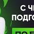 С чего начать подготовку к ОГЭ по биологии PARTA 2024