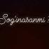 Soginasanmi