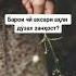 Хочи Мирзо 2022 1