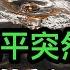 為何習近平突然發動聲勢浩大的新政治運動 與美迅速達成交易 李嘉誠有難言之隱 川普如果走出這一步 後患無窮