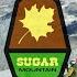 Kids At Sugar Mountain Resort