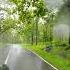 Nagarahole Roadtrip Rainyday Kabini