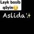 8 Mart Bilan Onajonim