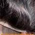 Bleach Knote Hair Patch Octagon Front Lace Hair Patch Salon Saloon Barber Barbar Hairstudio