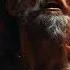 How Odysseus Pissed Off Helios Greek Mythology Shorts