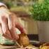 Ballymaloe Relish