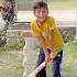 Arush Cricket Bhi Khel Leta Hai Shortvideo Viralvideo Shortsfeed