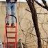 Suffering Under The Rain Shadows An Engineer S Effort To Rejuvenate Garden Trees