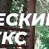 Статический комплекс за 30 минут Йога для начинающих