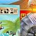 СТРОЙСЯ ОТРЯД ЦЫПЛЯТ ОБЗОР настольной игры от Geek Media