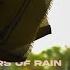 Whispers Of Rain