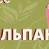 Букет тюльпанов Букет просто и симпатично Упаковка букета в тишью и фоамиран Мастер класс