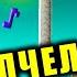 ТЫ ПЧЕЛА Я ПЧЕЛОВОД КЛИП КАТИ Shorts