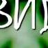 The New виd Logo