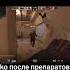 Twitch Tv Deko Cs2 Csgo Deko Twitch Memes Trending Stream Funny