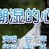 甘萍这首经典老歌 潮湿的心 催泪好听 唱出了多少人的心声