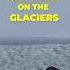 Human On The GLACIER Dayz Dayzstandalone