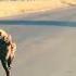 Lion Attack On Hyena In Kruger National Park Shorts Lionvshyena